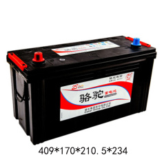 骆驼蓄电池 6-QWLZ-120(760)市场(2S) 骆驼电池LT00015